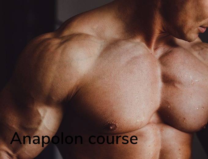 Anapolon course