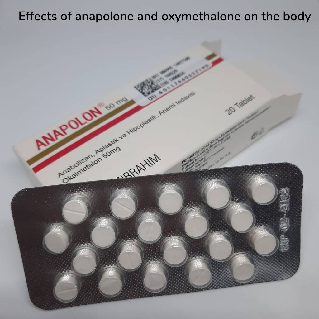 Effects of anapolone and oxymethalone on the body